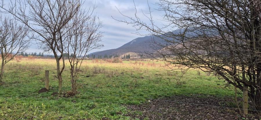 Teren intravilan de 5200 mp, în Cristian