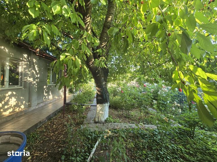 Casă cu 4 camere cu Teren 903 Mp în Vânători