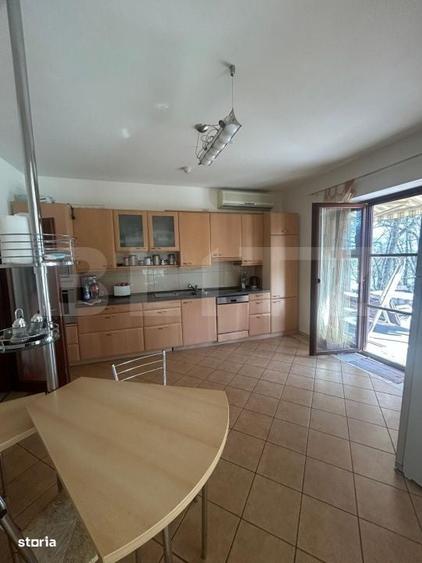 Casă cu 4 camere cu Teren 3982 Mp în Remetea Mare