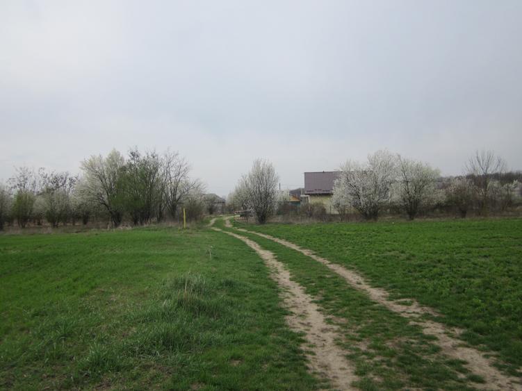 Teren Construcții intravilan de 646 mp, în Domnești