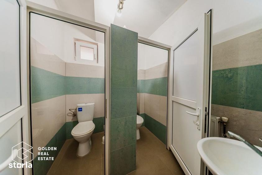 Proprietate pretabila pentru afacere, Cladova - 11