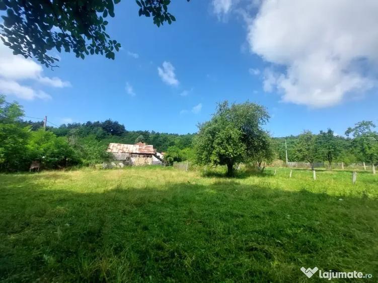 PF Vand teren1700 mp intravilan Vlade?ti, AG - 1