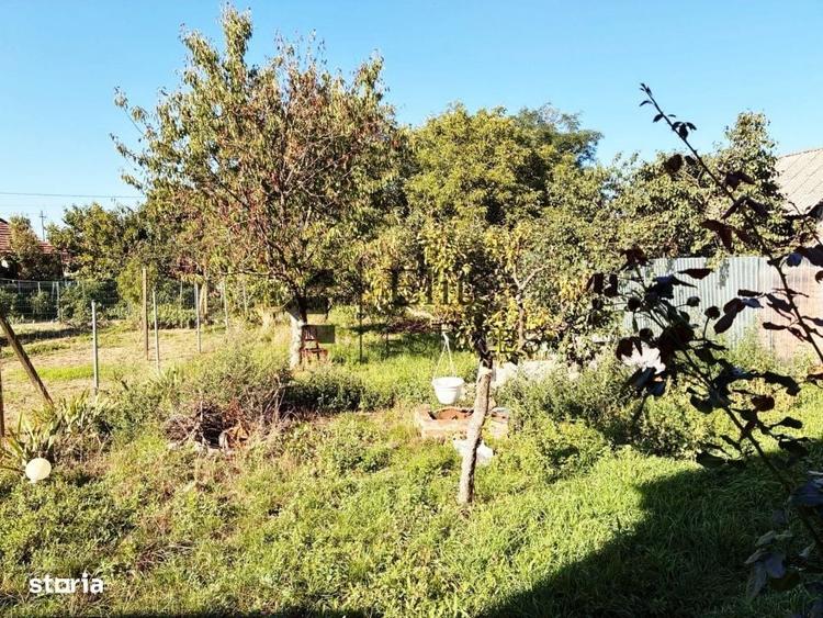 Casa de vanzare in Biharia - 8