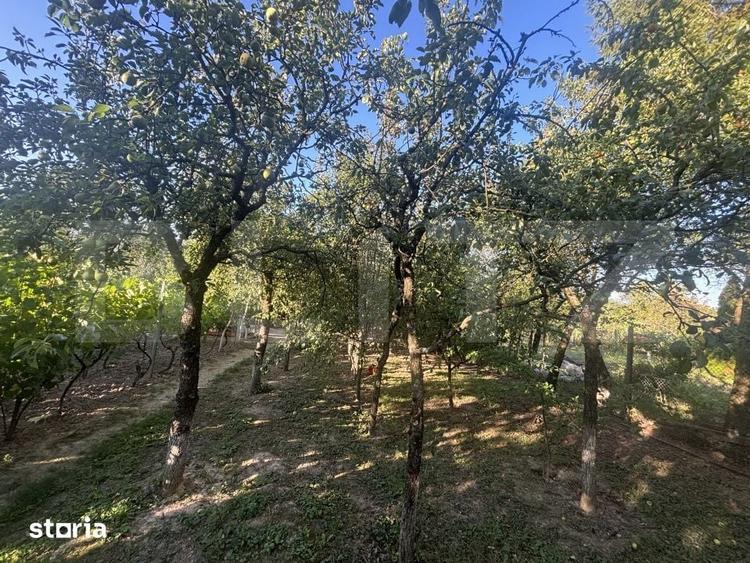Casă cu 2 camere cu Teren 1021 Mp în Viile Satu Mare