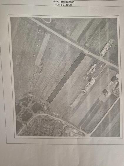 Teren de 3700 mp, în Sadina