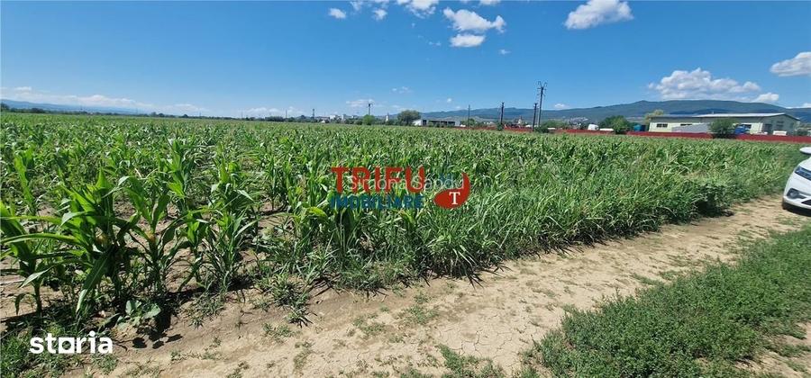Teren de vanzare langa soseaua de centura, 5100 mp