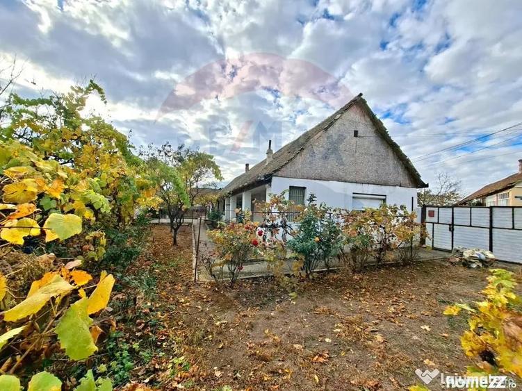 Casă cu 2 camere cu Teren 929 Mp în Vladimirescu