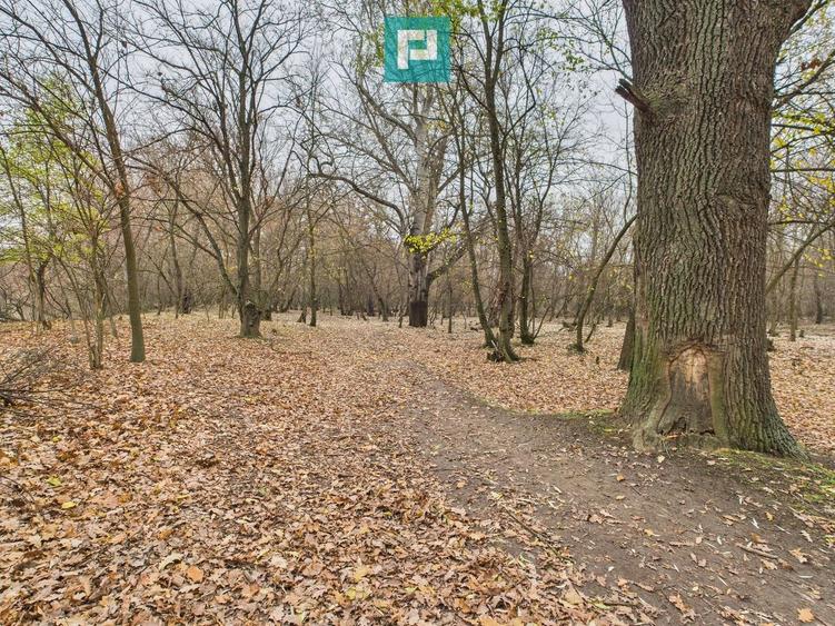 Teren extravilan de 5000 mp, în Periam