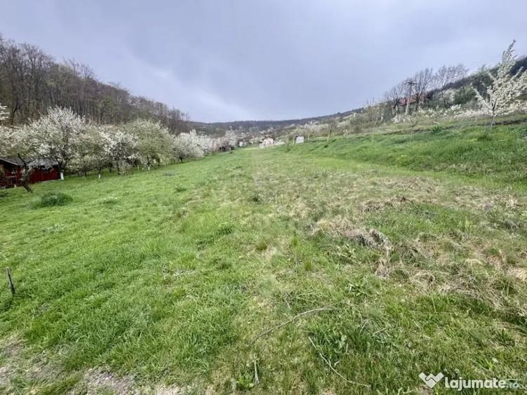 Teren intravilan Deva- Roci - 6