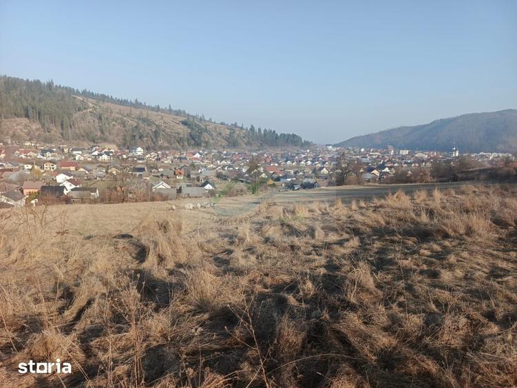 Teren de 3000 mp, în Curtești