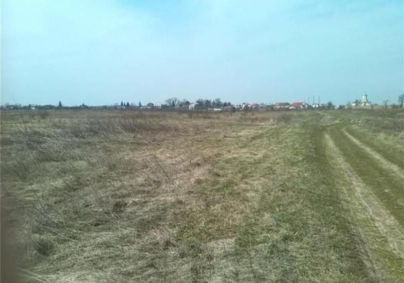 Teren de 600 mp, în Balotești