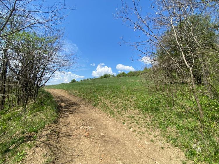 Teren de 146100 mp, în Hălmeag