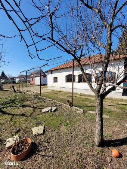 Casă cu 5 camere cu Teren 790 Mp în Roata de Jos