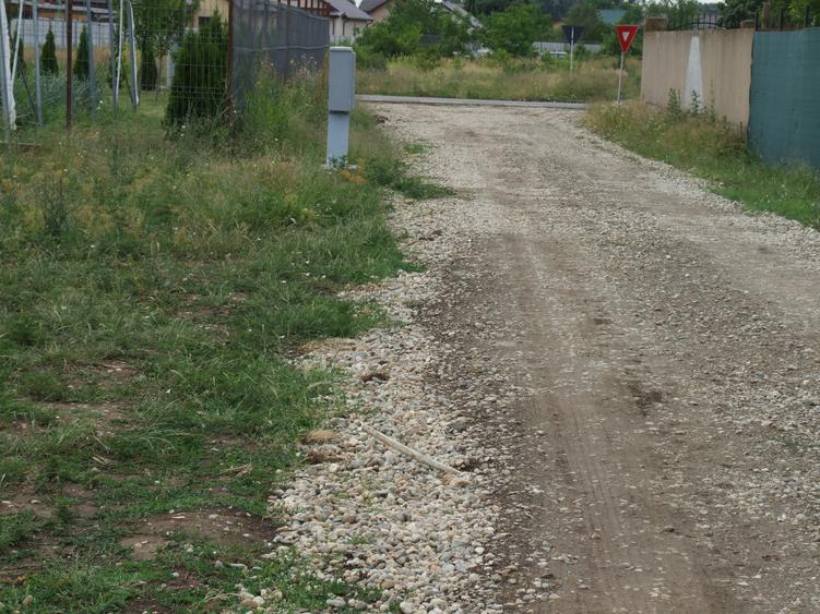 Teren Construcții intravilan de 4394 mp, în Domnești