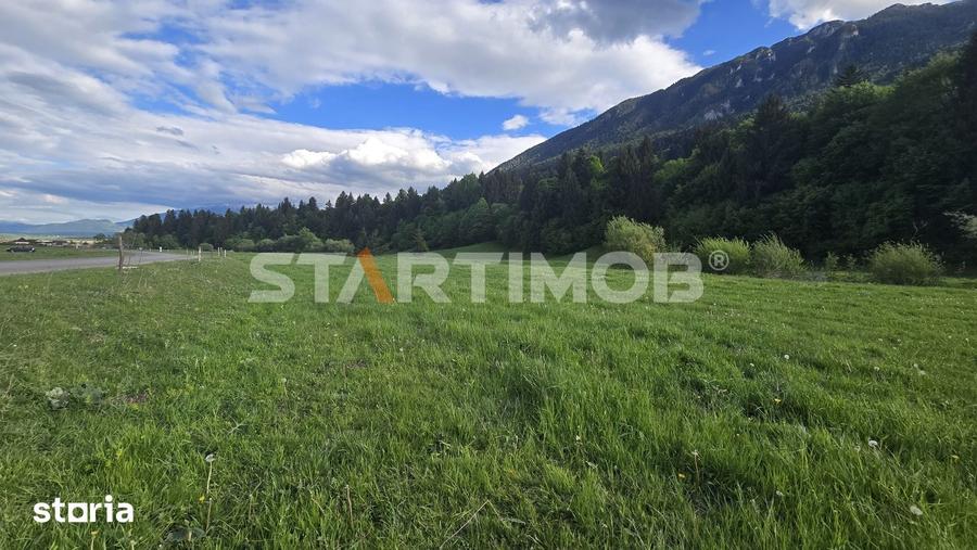Teren de 7600 mp, în Plaiul Foii