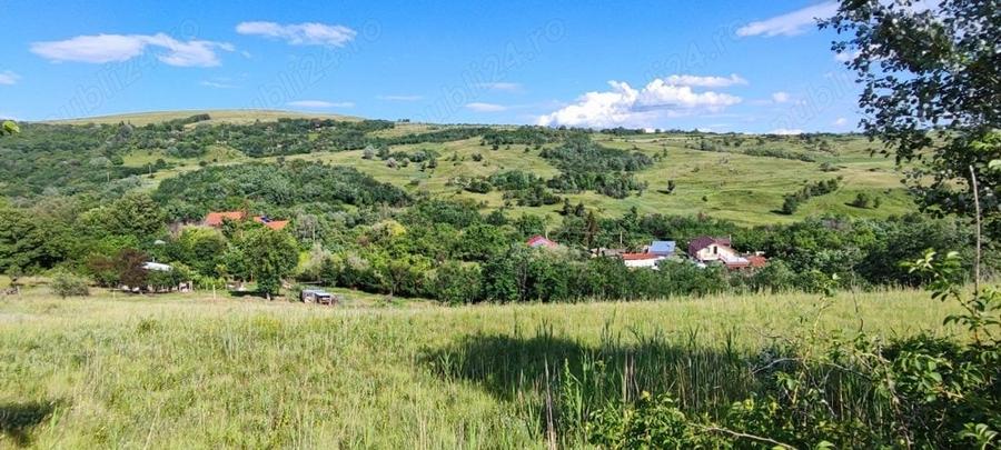 Teren de 5000 mp, în Boboci