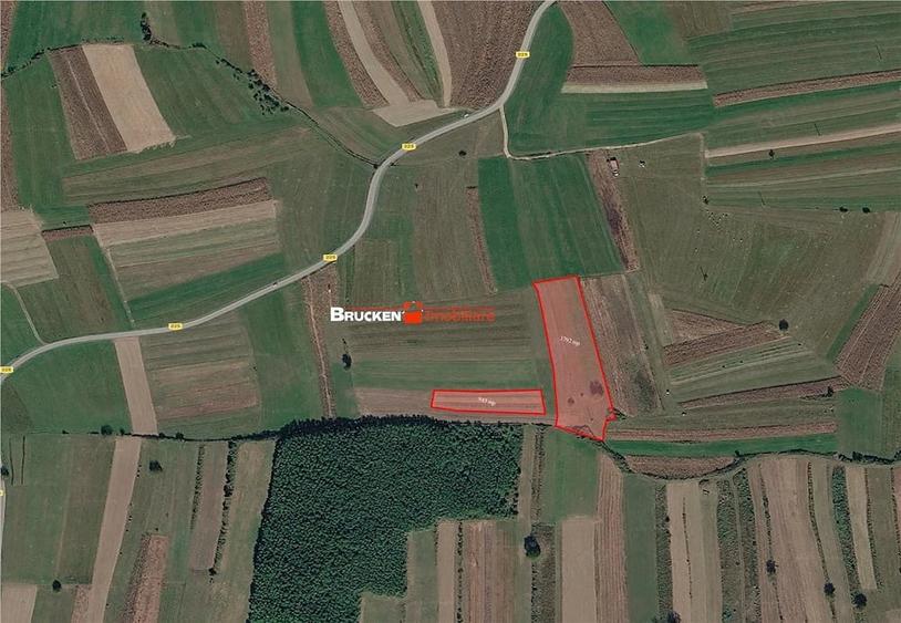 Teren de 60000 mp, în Beiușele
