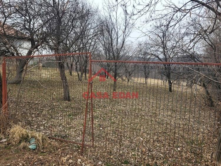 Casă cu Teren 1358 Mp în Gura Beliei