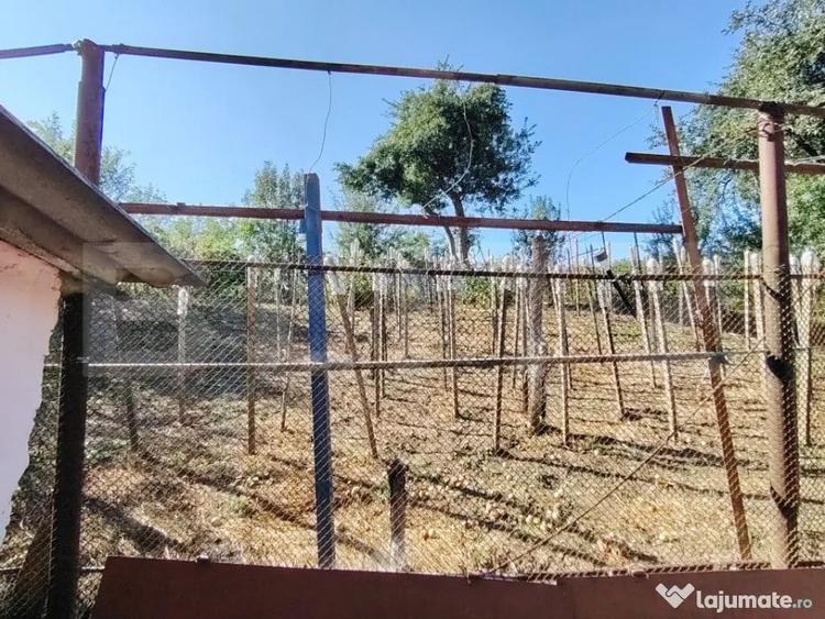 Vanzare casa cu 3 camere in Bardesti, 1600 mp teren - 2