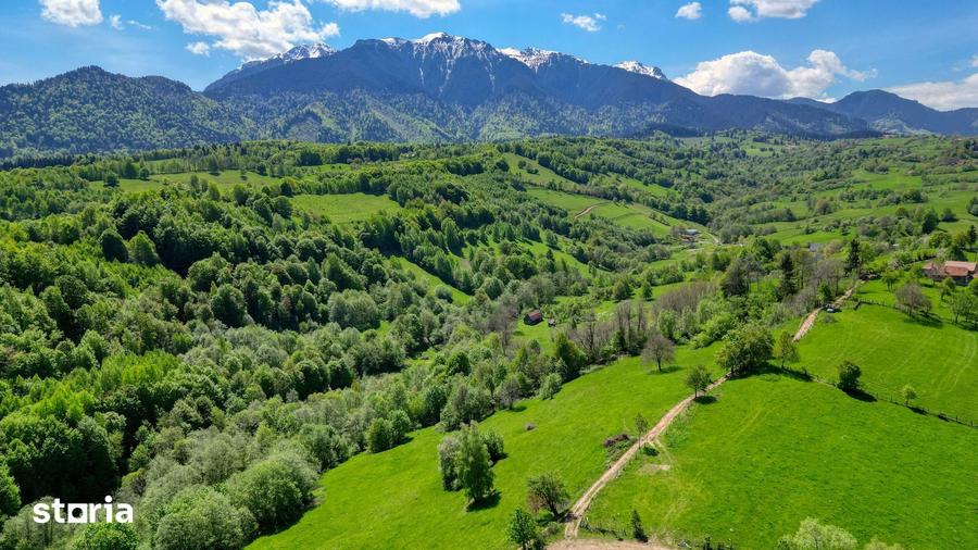 Teren extravilan 20.000 mp, zona Bran, vedere spre Mun?ii Bucegi - 6