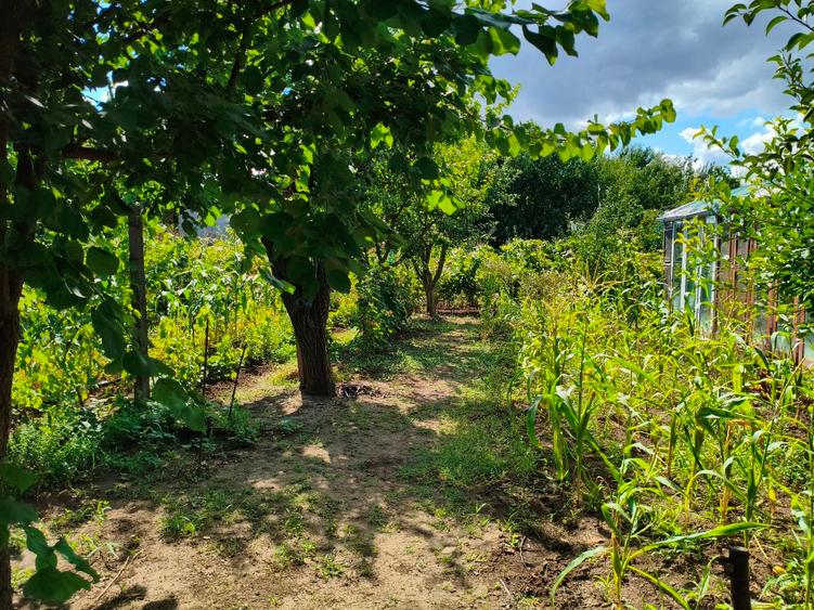 Casă individuală cu 4 camere cu Teren 1000 Mp în Limanu