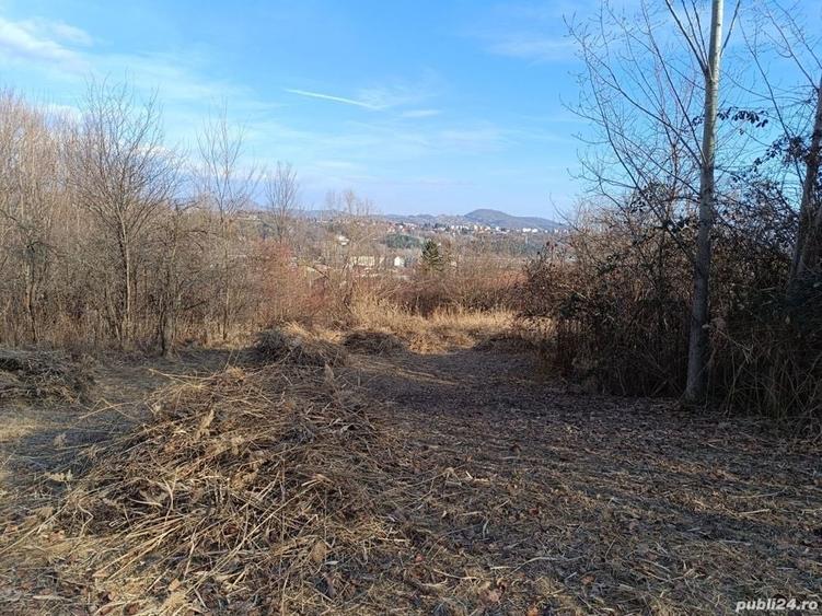 Teren de 4200 mp, în Poiana