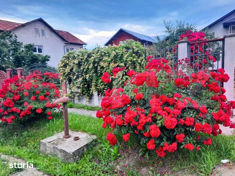 Casă cu 8 camere cu Teren 3000 Mp în Dragomirești