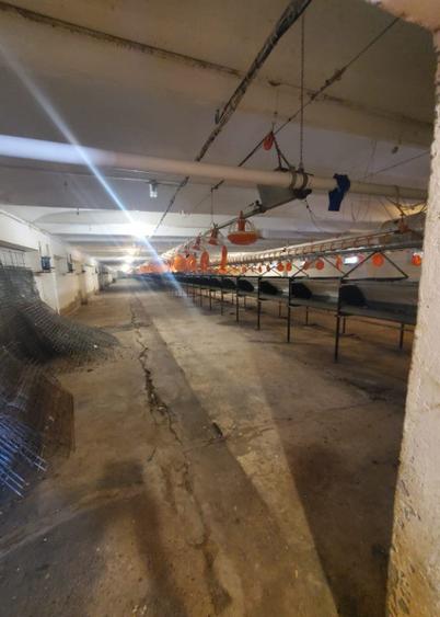 Spațiu comercial, de 2,716 mp, în Grădiște