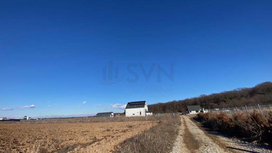 Teren Construcții intravilan de 8100 mp, în Ciolpani