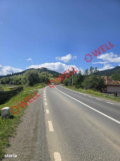 Teren de 109371 mp, în Lunca de Sus