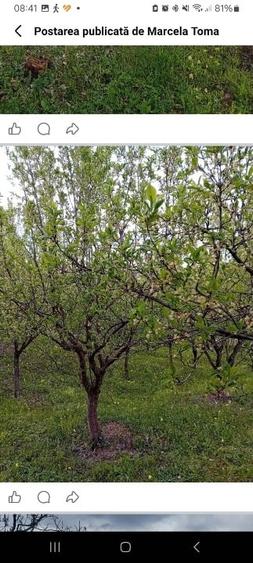 Teren extravilan de 5800 mp, în Aiudul de Sus