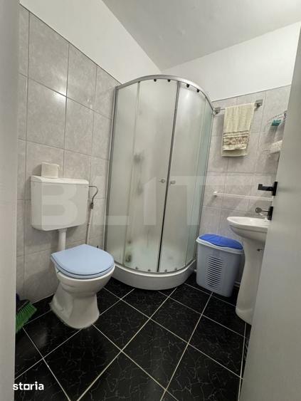 Camera de Camin, 25 mp, zona Lapus, Electro Putere - 2