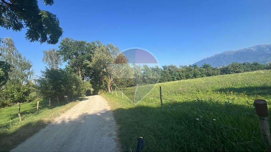 Teren Construcții intravilan de 3000 mp, în Predeluț