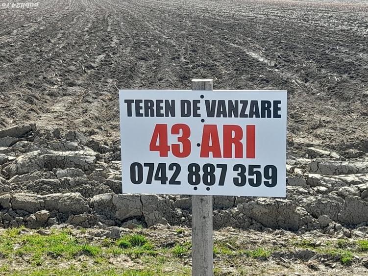 Teren de 4300 mp, în Arcalia
