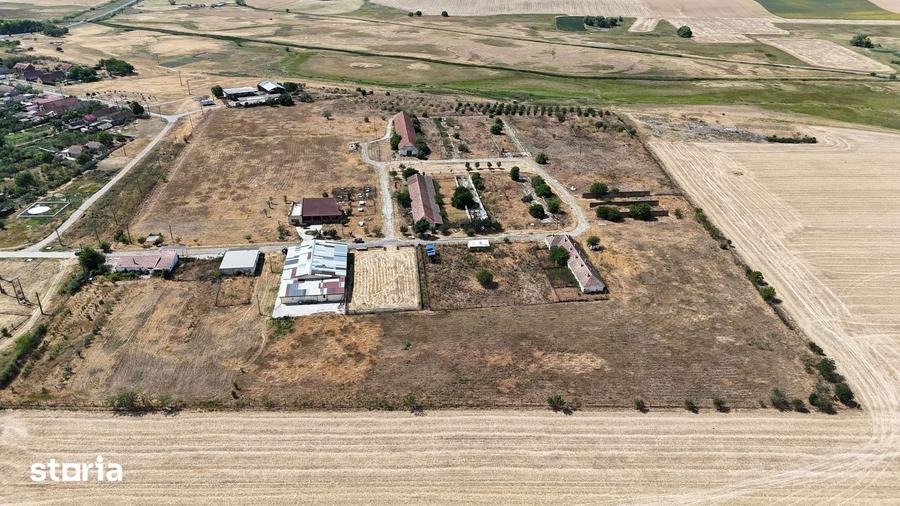 Teren de 90000 mp, în Satchinez