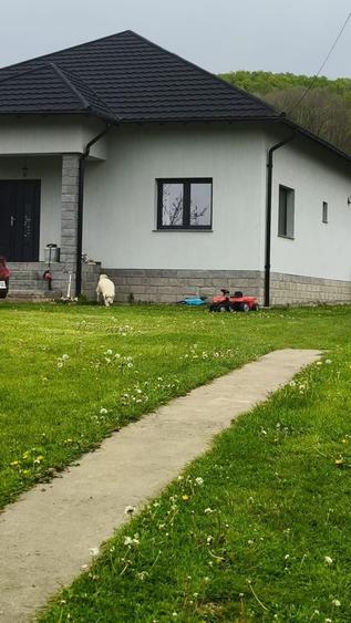 Casă cu 4 camere în Ștefești