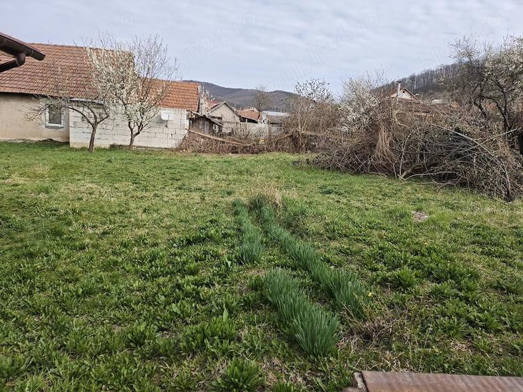 Casă cu 4 camere cu Teren 1000 Mp în Exterior Vest