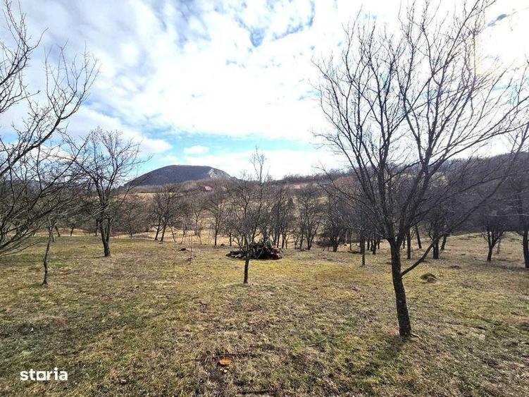 Teren de 3800 mp, în Mirșid