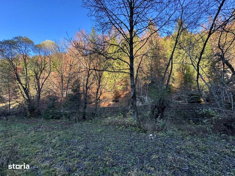 Teren de 2882 mp, în Dâmbovicioara