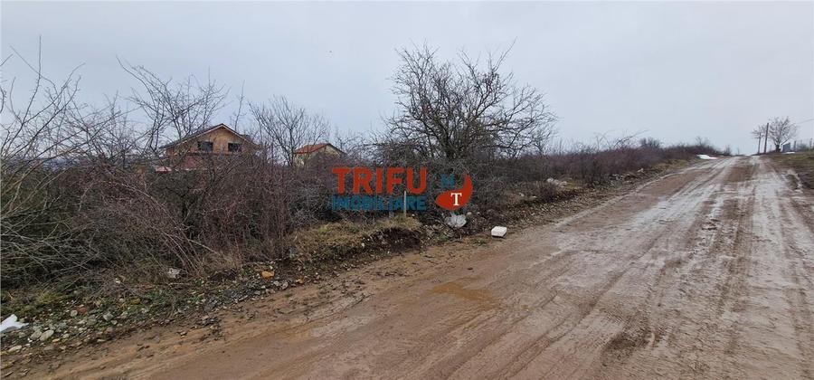 Teren Construcții intravilan de 510 mp, în Ampoi 1