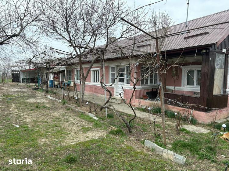 Teren 1300 mp + Casa din caramida | Merii Petchii, Ilfov - 2