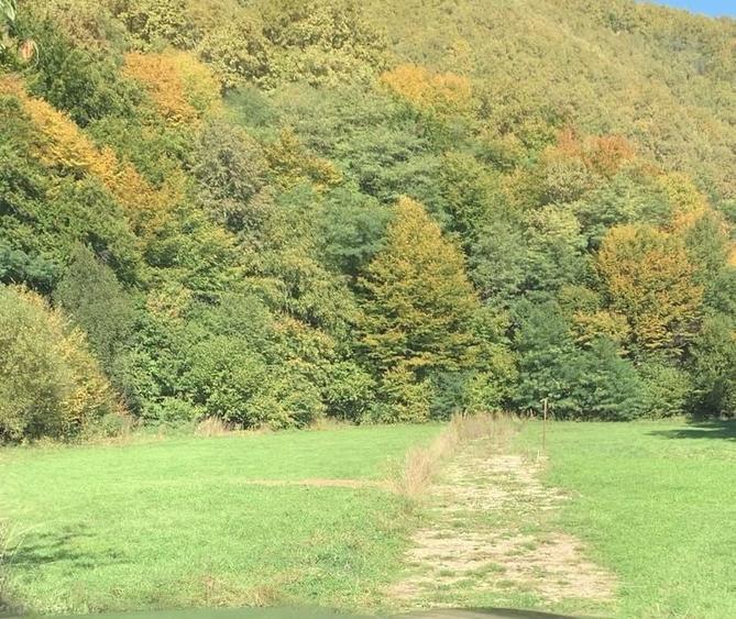 Teren de 1190 mp, în Someșu Rece
