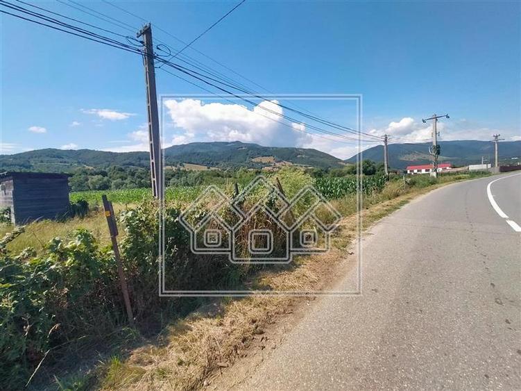 Teren agricol extravilan de 4900 mp, în Sadu