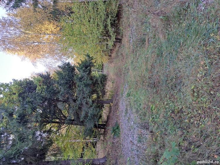 Teren de 2000 mp, în Băile Chirui