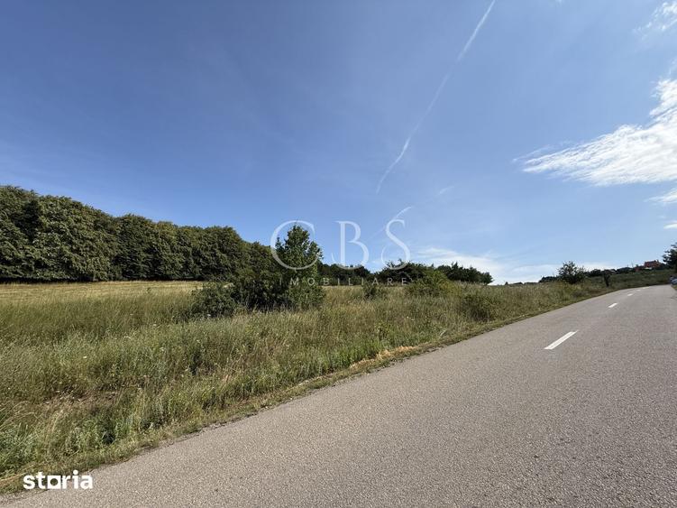 Teren de 6297 mp, în Mociu