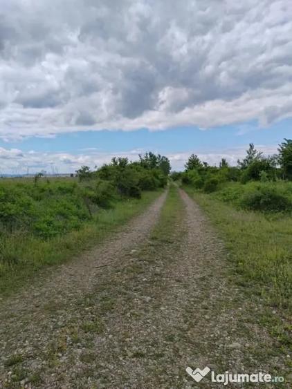Teren în Ariceștii Rahtivani