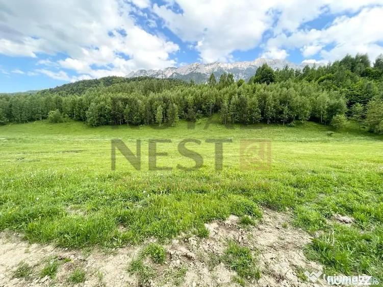 Teren de 12150 mp, în Plaiul Foii