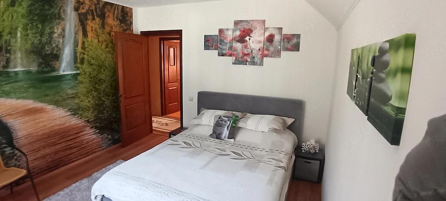 Casă cu Teren 300 Mp în Central