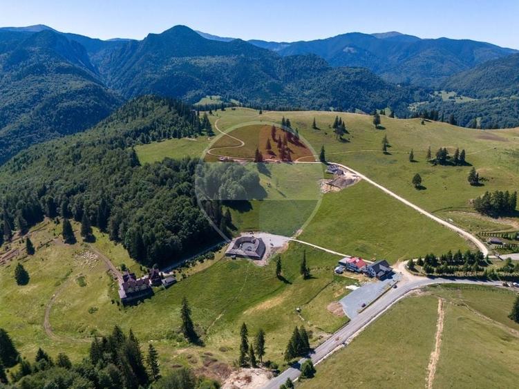 Teren agricol extravilan de 52519 mp, în Dâmbovicioara