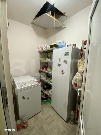 Casă cu 3 camere cu Teren 3687 Mp în Șieu